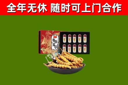 于都县回收冬虫夏草价格